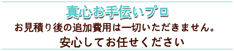 真心お手伝いプロは